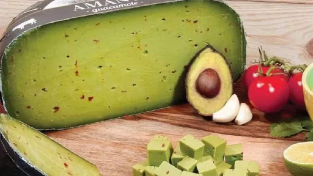 creato il primo formaggio all'avocado, un sogno culinario che vi lascerà senza parole.