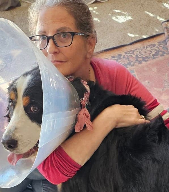 La storia di Nova, il cane disperso in montagna per 2 mesi