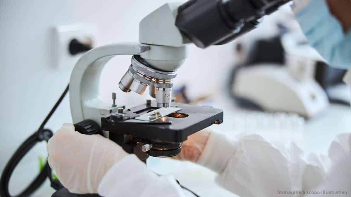 un addetto alle pulizie spegne un congelatore del laboratorio e distrutto 20 anni di ricerca