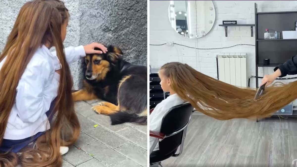 Il gesto coraggioso di una bambina che ha tagliato i suoi lunghi capelli per aiutare un cane a te zampe