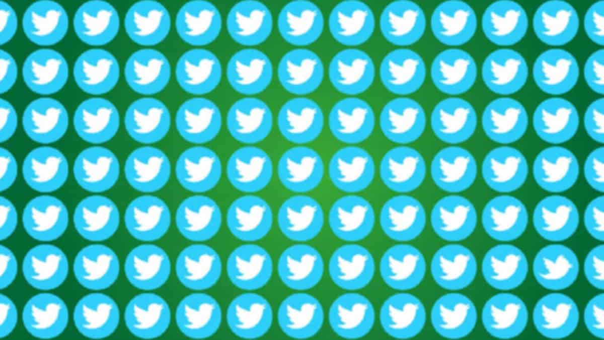 Sfida visiva: trova il logo falso di Twitter