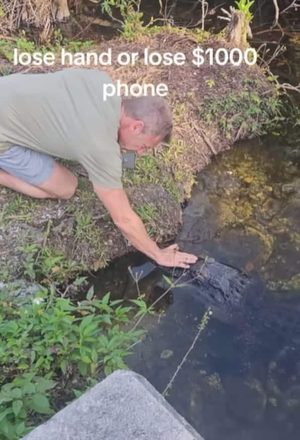 L'uomo che affronta un alligatore per recuperare il suo smartphone
