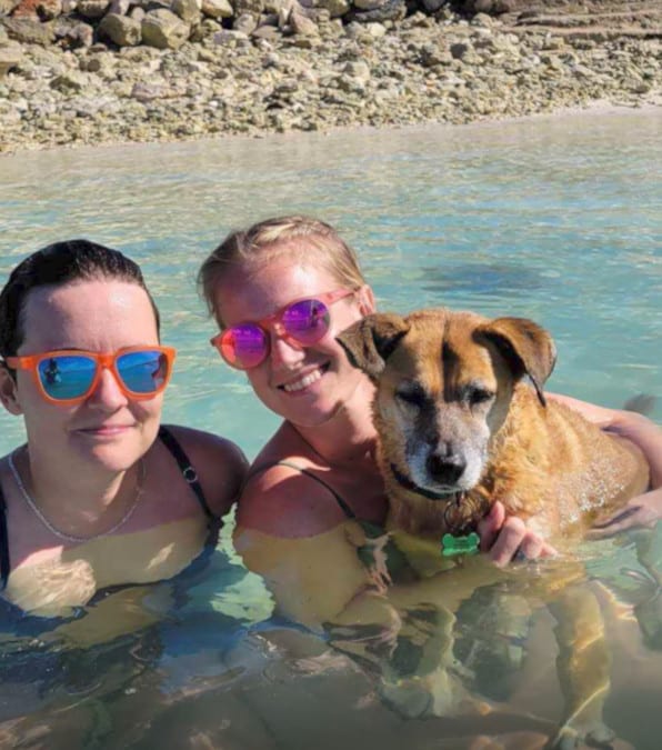 Il cane cieco e sordo che conquista i cuori dei turisti con la sua gentilezza