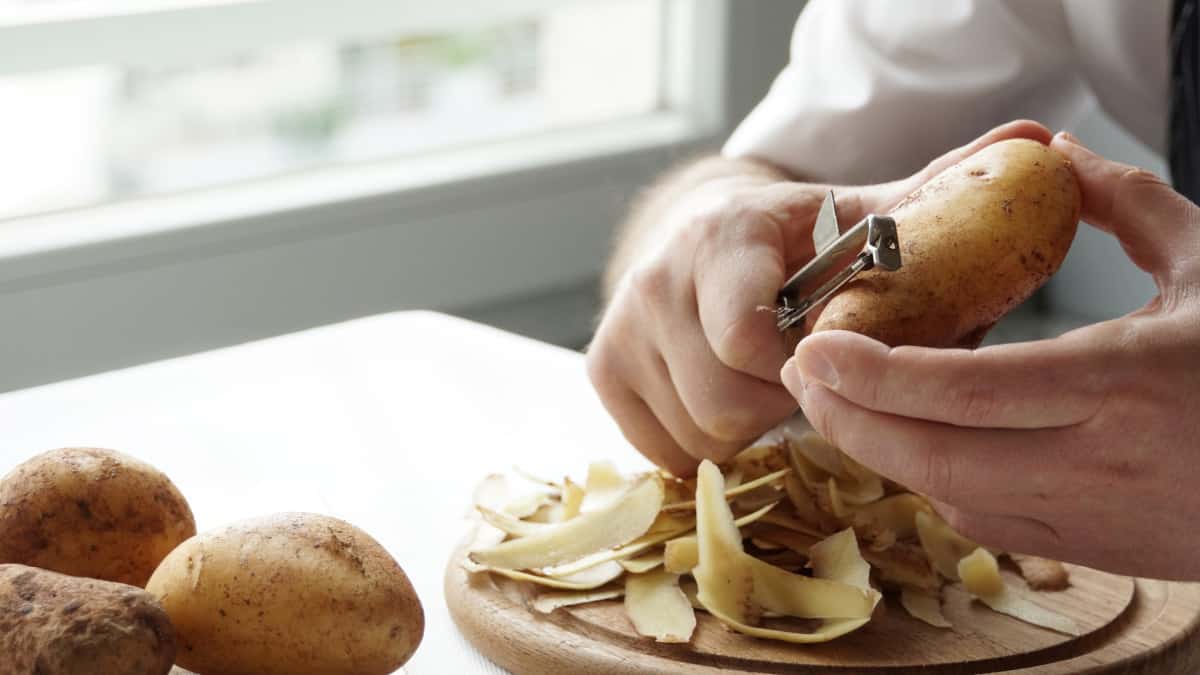 come conservarle correttamente e gestire i germogli di patate