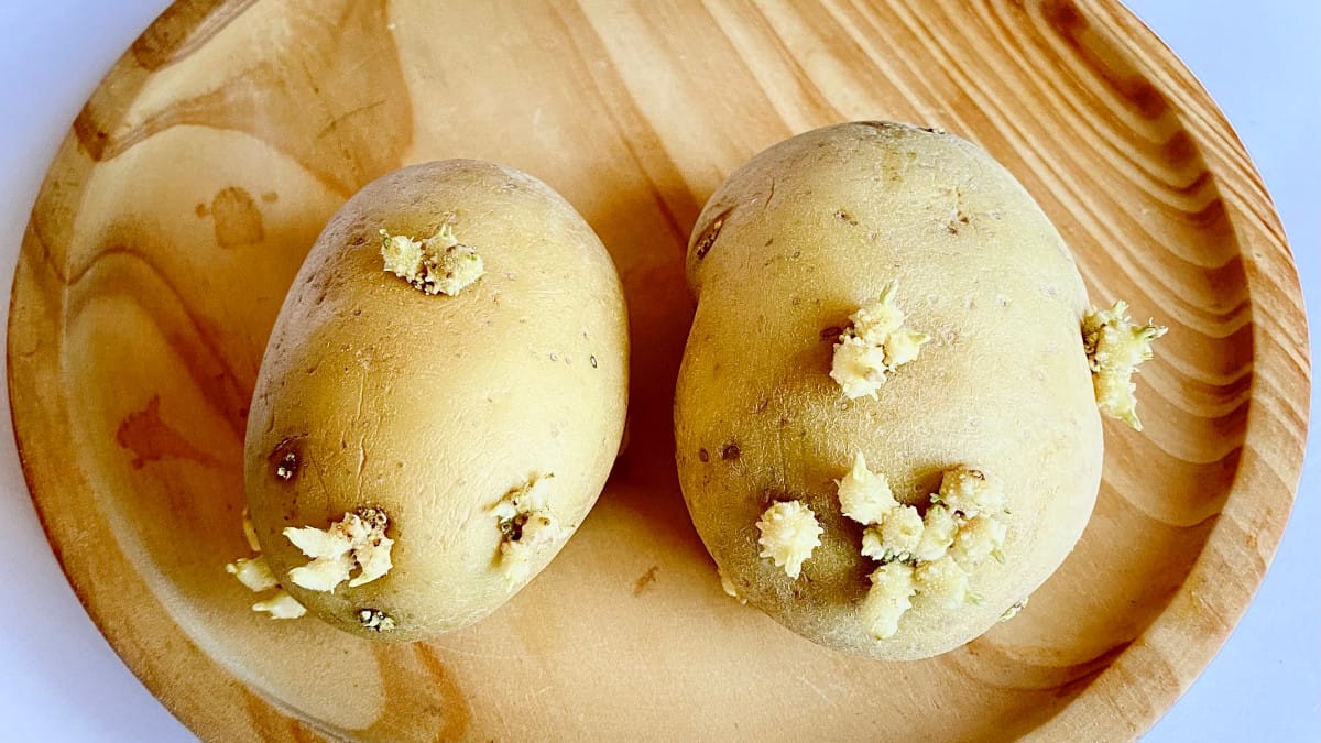 Come conservare correttamente le patate per evitare germoglino